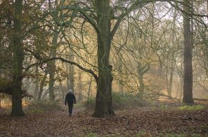 Visit an RSPB Reserve