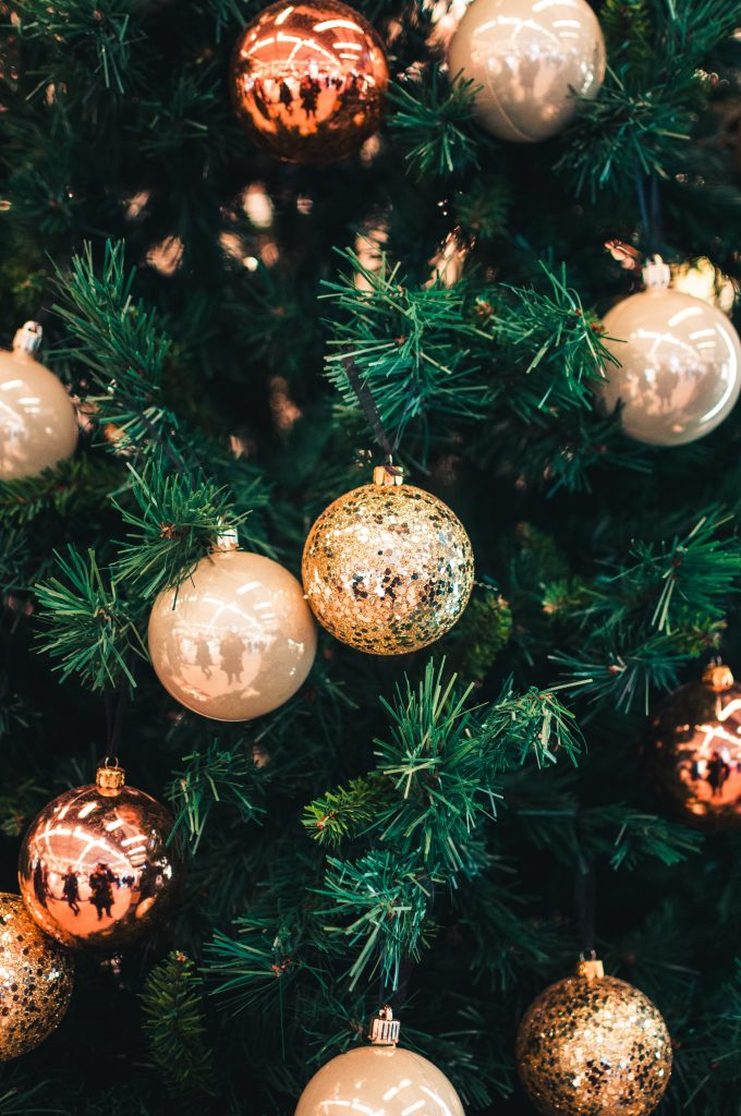 Disposing of Christmas Tree Cambridgeshire