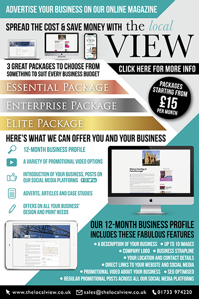 All Business Profile Packages-The Local View