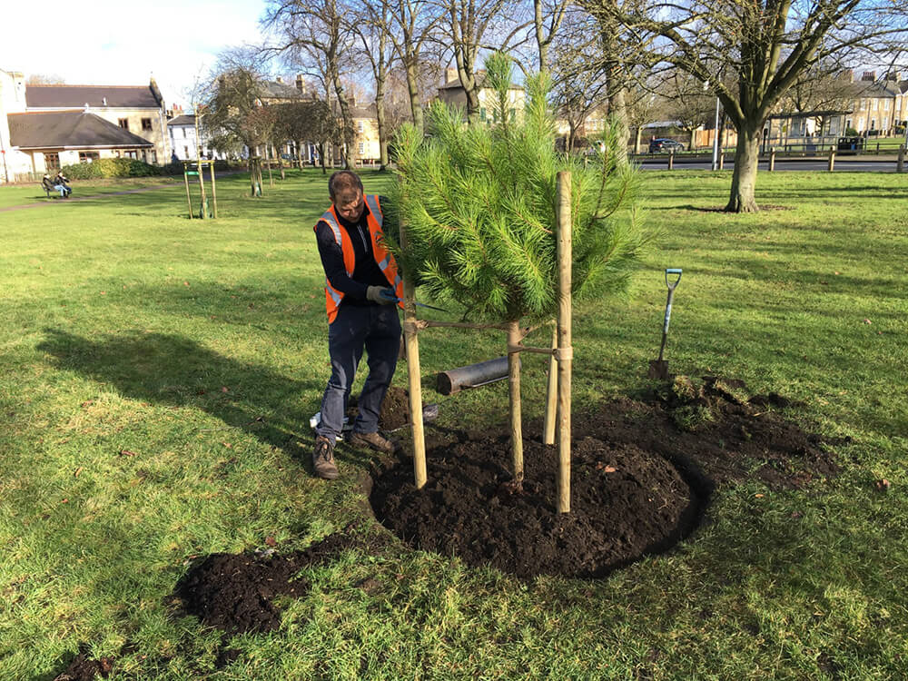 Cambridge Nature Smart Cities