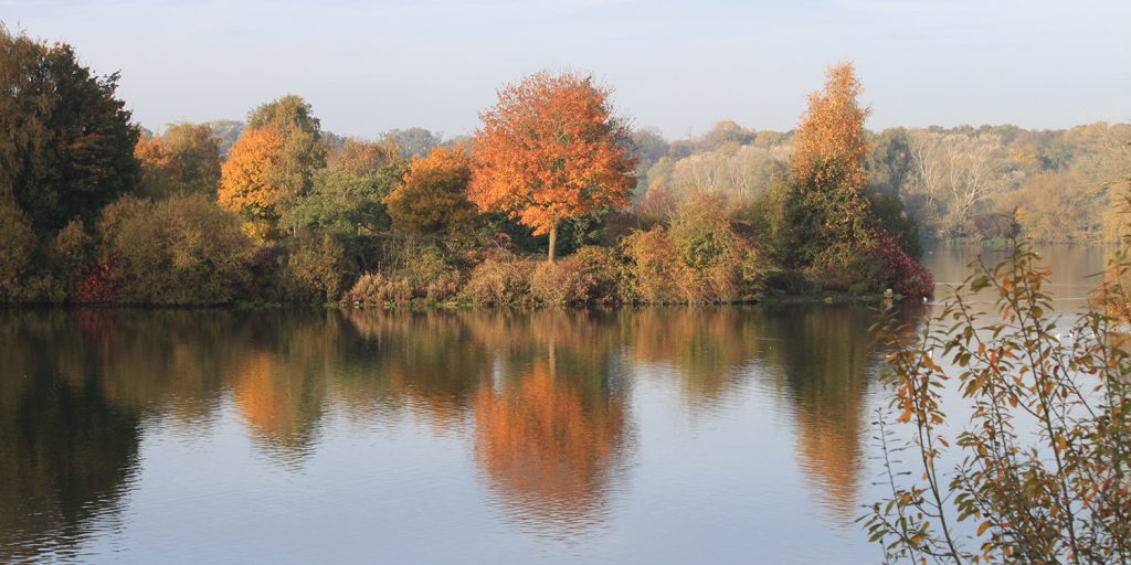 Nene Park