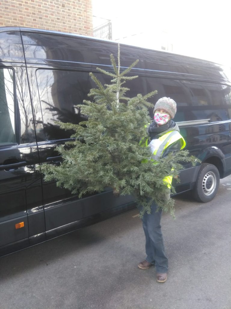 Christmas Tree