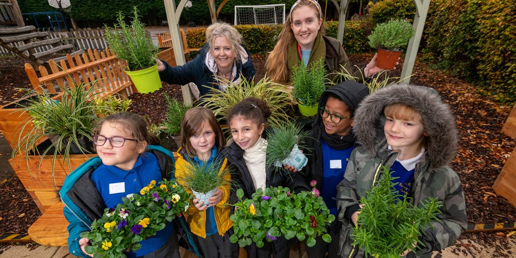 sustainable food and gardening